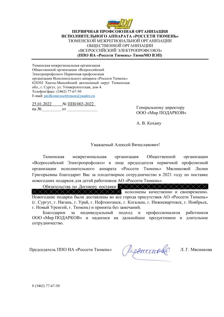 ППО ИА Россети Тюмень.jpg
